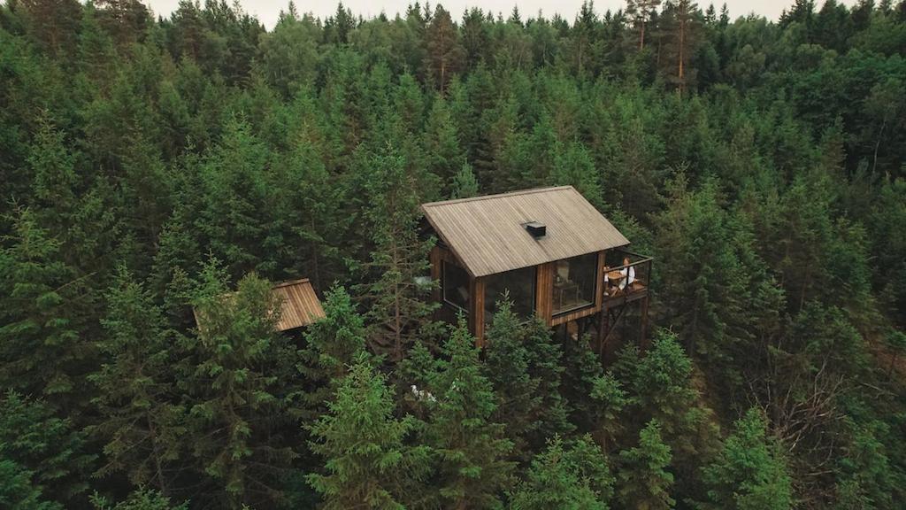 Hyssna Forest Resort Bagian luar foto